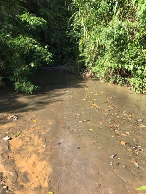 Location near Puerto Maldonado, Peru