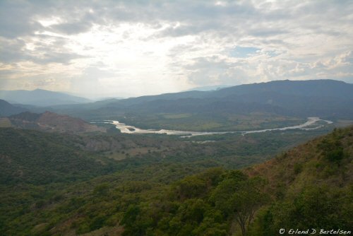 Rio Magdalena: Location: Chaetostoma brevilabiatum