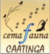 CemafaunaUniversity