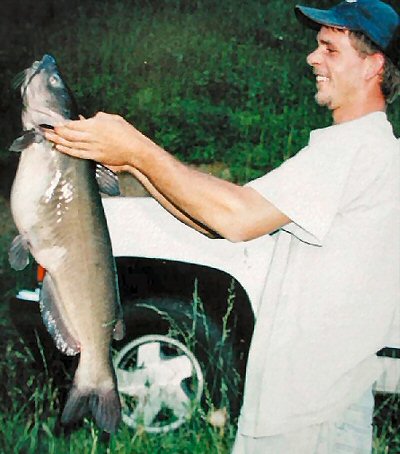 Fishing in the USA, A. punctatus, clearly recognised by the split tail fin.