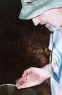 The author catching the wonderfully coloured Corydoras elegans