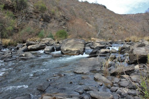 Amphilius natalensis = habitat location