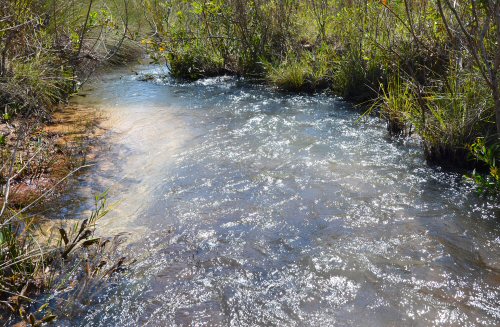 Aspidoras belenos = Type locality, a stream with unknown name tributary to the Rio Suspiro, Rio das Mortes basin