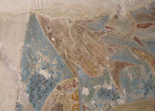 Synodontis  batensoda = Taken in the Louvre Museum in Paris, hieroglyphics from a Pharaohs tomb. 