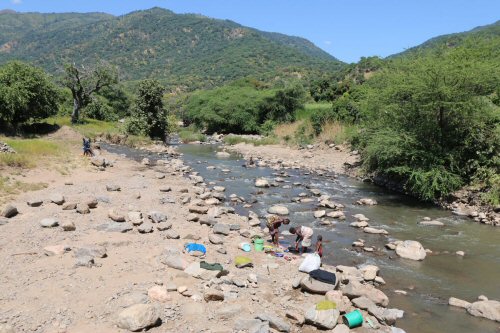 Chiloglanis trilobatus = Type locality: Piti River, tributary to Lake Rukwa