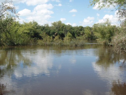 Hemiancistrus meizospilos = Location-Rio Yi, Durazno in Uruguay