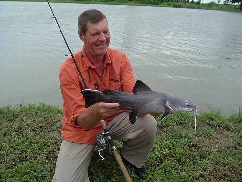 Hemibagrus wyckii = Caught on August 10, 2007 by UK angler Richard J. Pike at Ratchaburi, Thailand