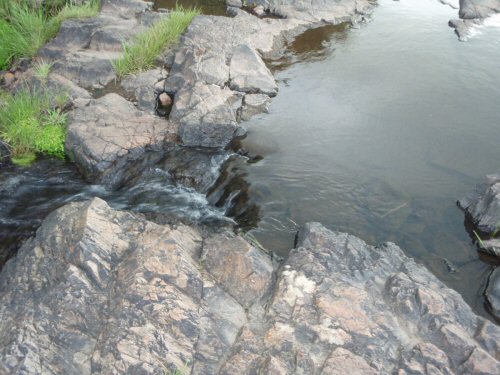 Hypostomus aspilogaster = Location-Tacuarembó Department, Uruguay