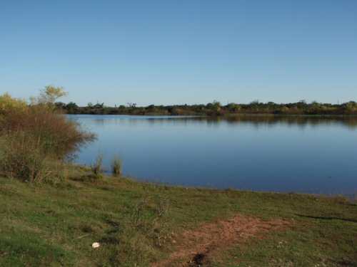 Loricariichthys anus = Location-Laguna de Arnaud