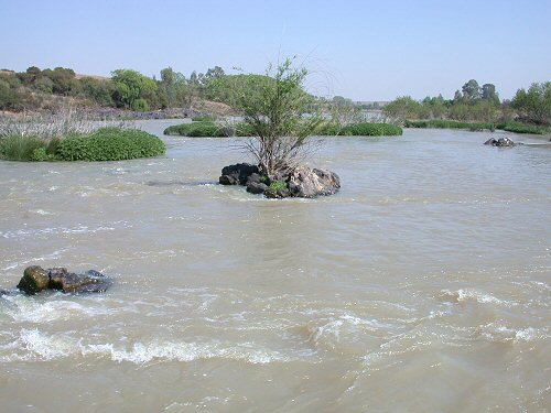 Austroglanis sclateri. Vaal River where we collected it. Deep river channels  always in the main stream channels  deep channels, turbid flows typically  very different from the clear water Olifants systems.