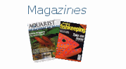 Magazines