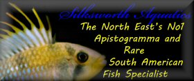 Silksworth Aquatics