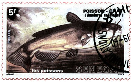 Catfish Stamp = Ameiurus nebulosus