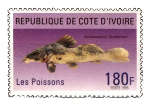 Catfish Stamp = Auchenoglanis occidentalis