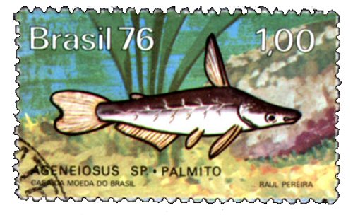 Ageneiosus inermis = stamp