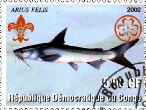 Ariopsis felis = Catfish stamp