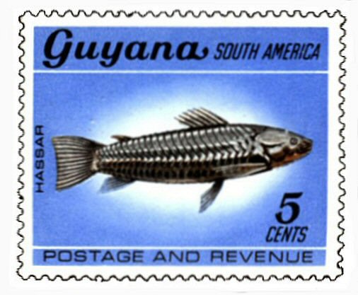 Callichthys callichthys = Stamp