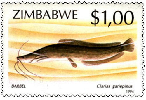 Catfish Stamp = Clarias gariepinus