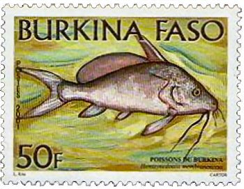 Catfish Stamp = Synodontis membranaceus