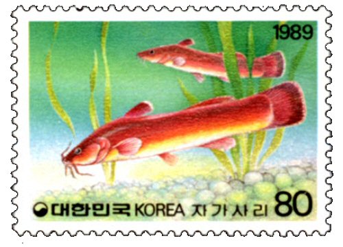 Liobagrus mediadiposalis = Catfish stamp