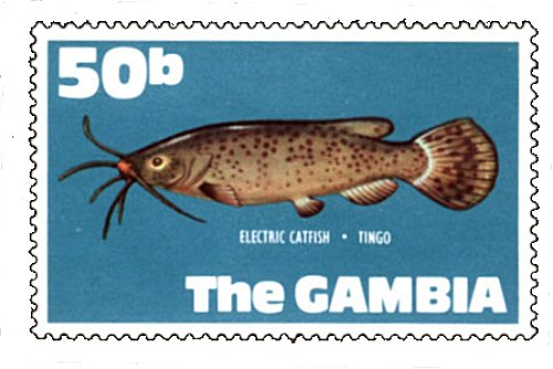 Catfish Stamp = Malapterurus electricus