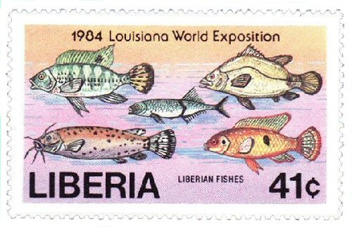 Catfish Stamp: Malapterurus barbatus