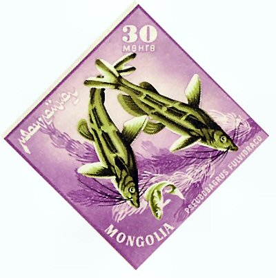 Catfish Stamp = Tachysurus fulvidraco