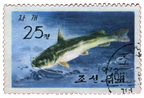 Tachysurus nudiceps = catfish stamp