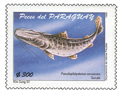 Catfish Stamp = Pseudoplatystoma corruscans