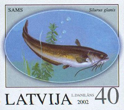 Catfish Stamp = Silurus glanis = Latvia