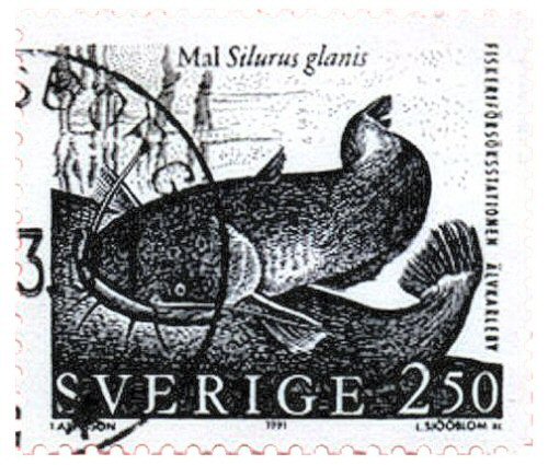 Catfish Stamp = Silurus glanis