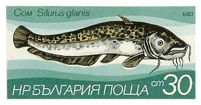 Catfish Stamp = Silurus glanis