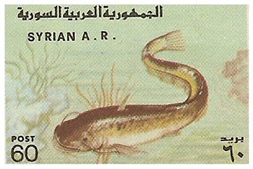 Catfish Stamp = Silurus glanis