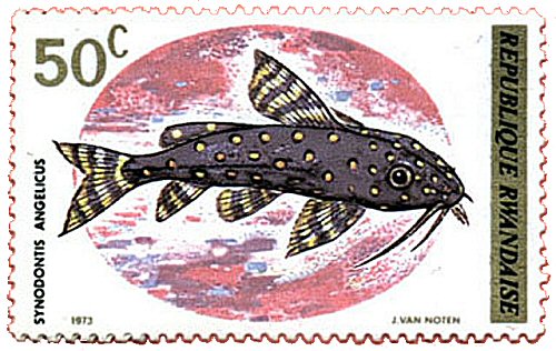 Synodontis angelicus = Catfish Stamp