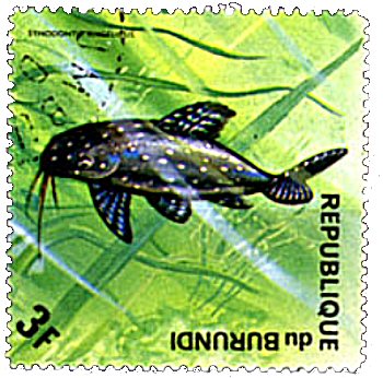 Synodontis angelicus = Catfish Stamp