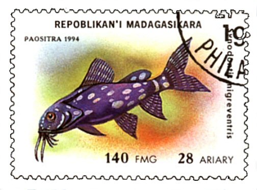 Synodontis angelicus = Catfish Stamp