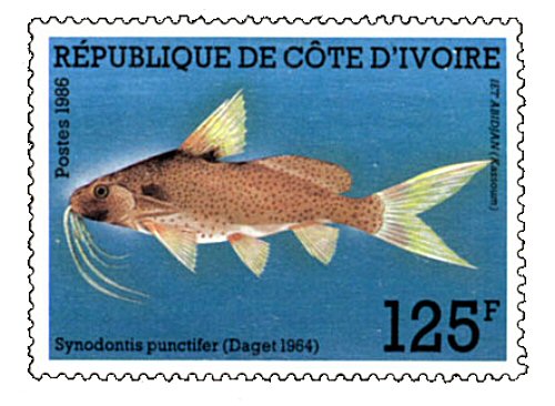 Catfish Stamp = Synodontis punctifer