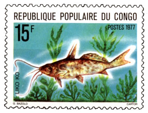 Synodontis alberti = Catfish Stamp