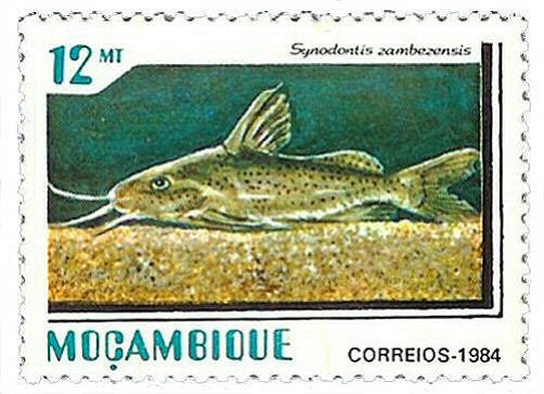 Catfish Stamp = Synodontis zambezensis 